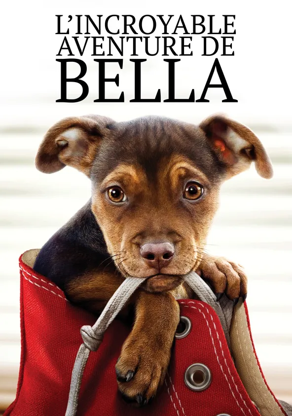 L'Incroyable Aventure de Bella Streaming