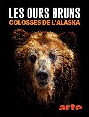 Les ours bruns, colosses de l'Alaska Streaming
