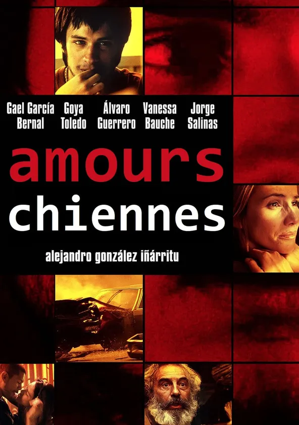Amours chiennes Streaming