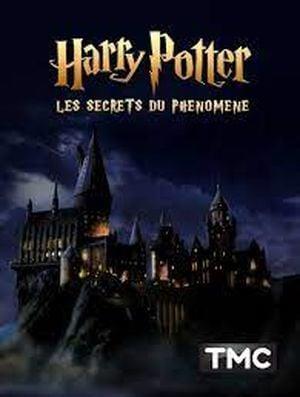 Harry Potter - Les Secrets du phénomène Streaming