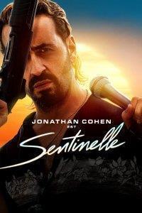 Sentinelle Streaming