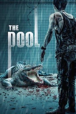 The Pool 2018 Streaming