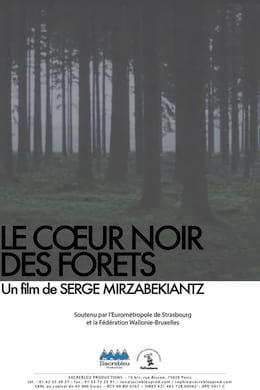 Le Coeur Noir Des Forêts Streaming