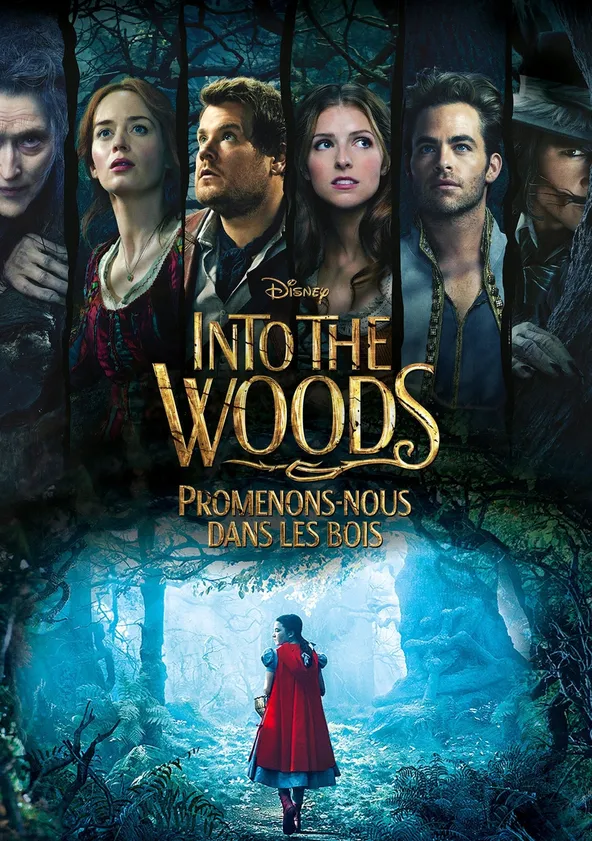 Into the Woods : Promenons-nous dans les bois Streaming
