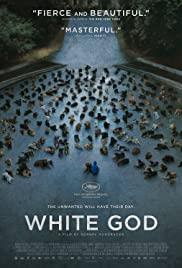 White God Streaming
