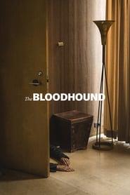The Bloodhound Streaming